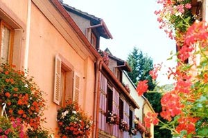 去越南美奈旅游注意事項(xiàng)(越南美奈旅游景點(diǎn))