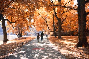 溫州有什么好玩的地方？